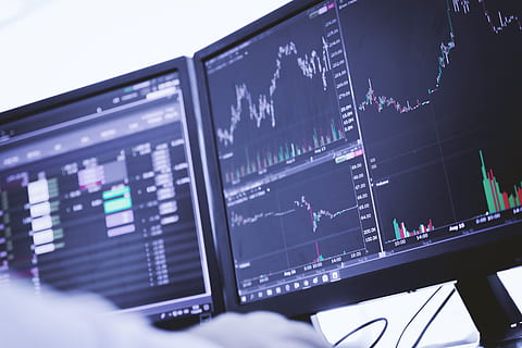 加强协同形成合力 持续提升绿色金融服务质效